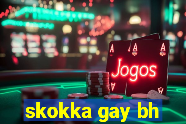 skokka gay bh