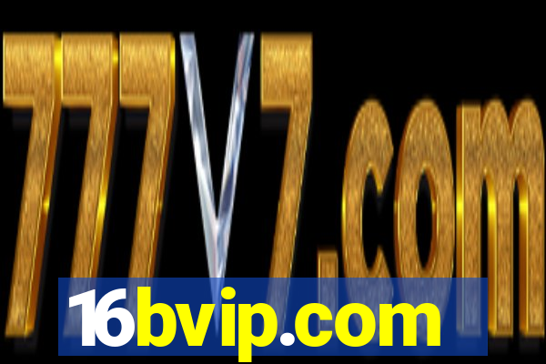 16bvip.com