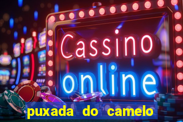 puxada do camelo jogo do bicho