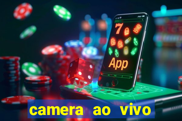 camera ao vivo terminal vila nova cachoeirinha