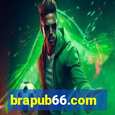 brapub66.com